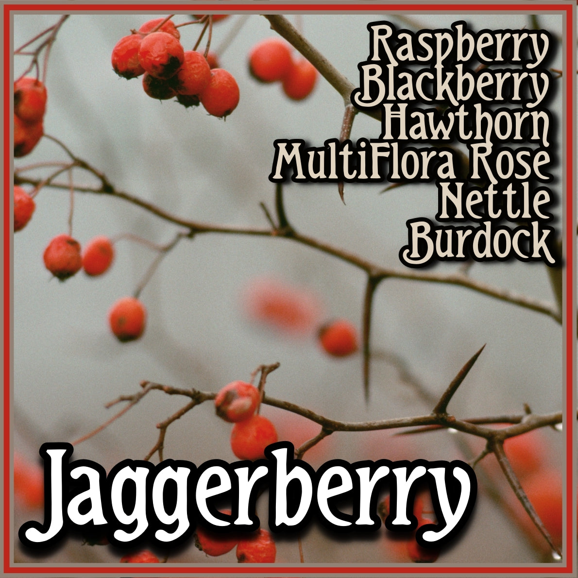 Jagger Bush "JaggerBerry" Bar Soap